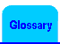  Glossary 